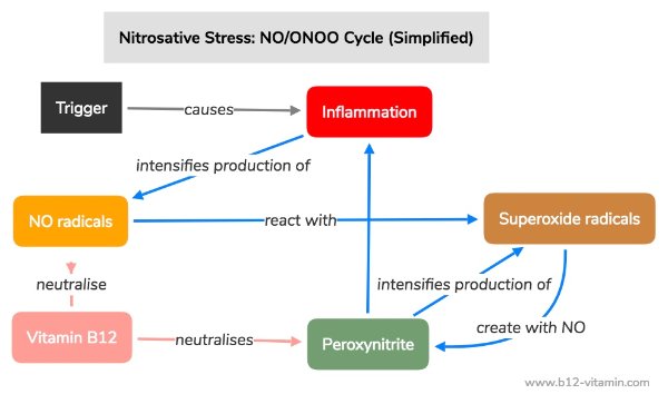 EN_nitro-stress.jpeg